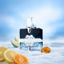 Aromatix Frostbite концентрований парфум