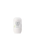 Byphasse 48h Deodorant Bamboo Extract